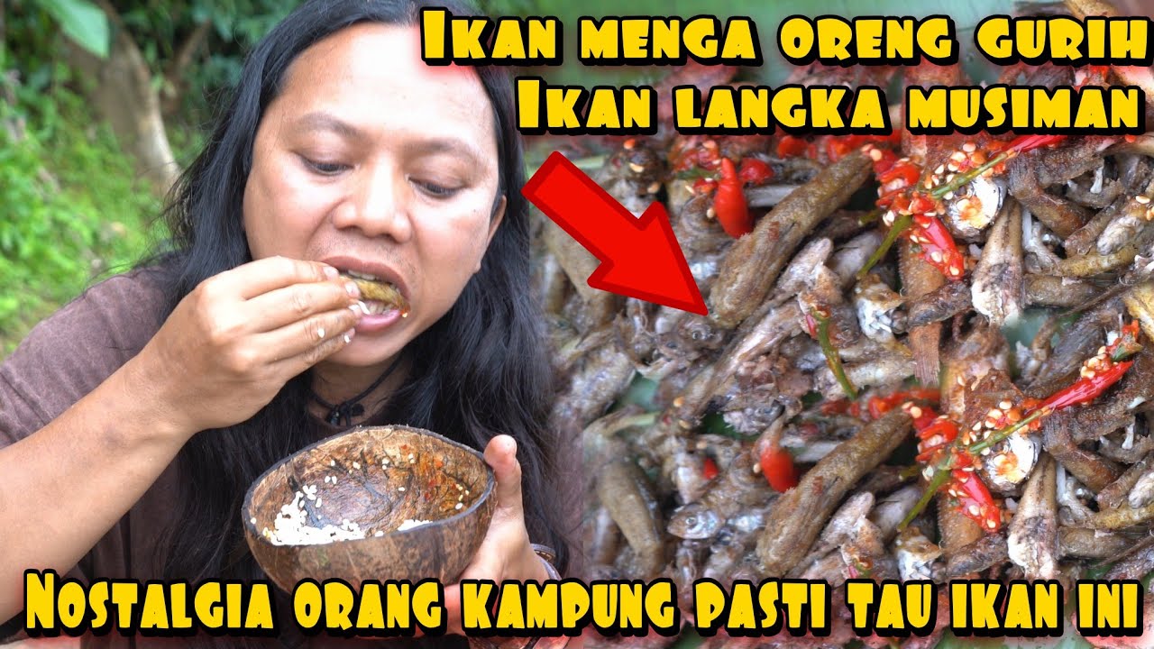 BERBURU DAN MEMASAK IKAN MENGA DIJAMIN PENGEN PULKAM