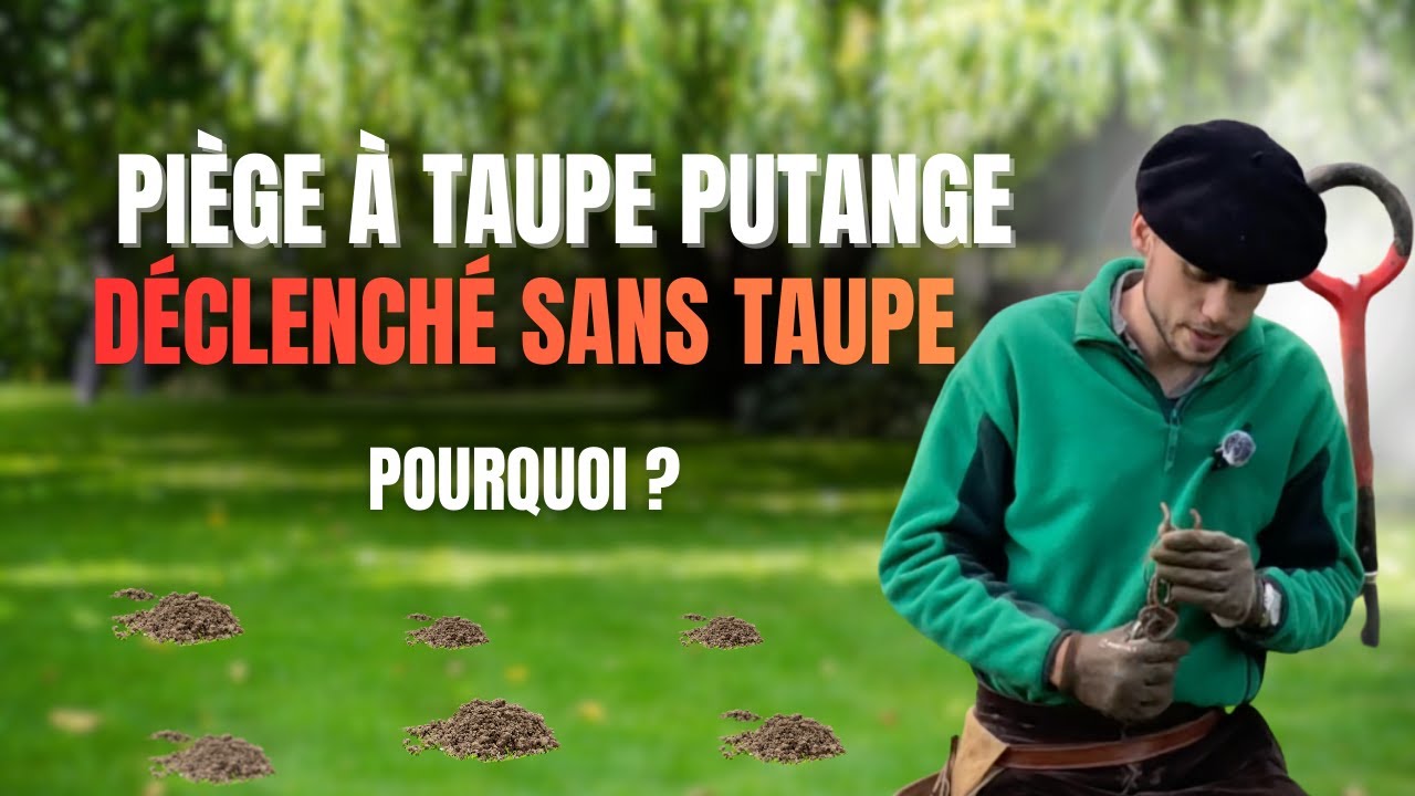 Pourquoi votre piège à taupe se déclenche-t-il sans capture ?