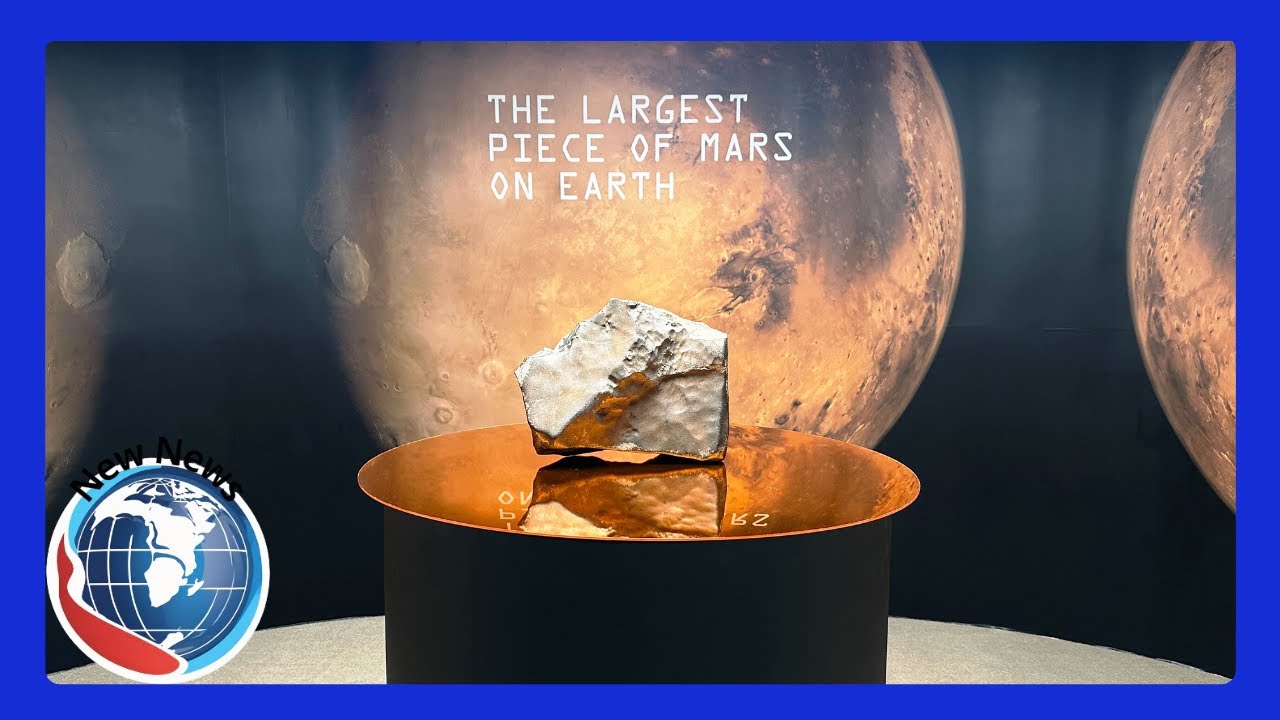 🔥 World’s Biggest Mars Rock Sells for $5.3M—Is Private Ownership Blocking Science 🔥