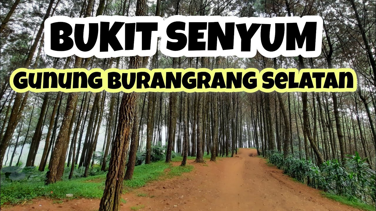 WISATA ALAM BANDUNG || BUKIT SENYUM GUNUNG BURANGRANG SELATAN #WISATAALAM #BUKITSENYUM