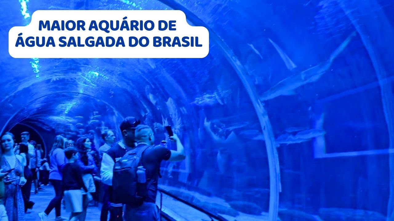 Aquário do Rio de Janeiro - AquaRio - 14° Temp - Ep 102