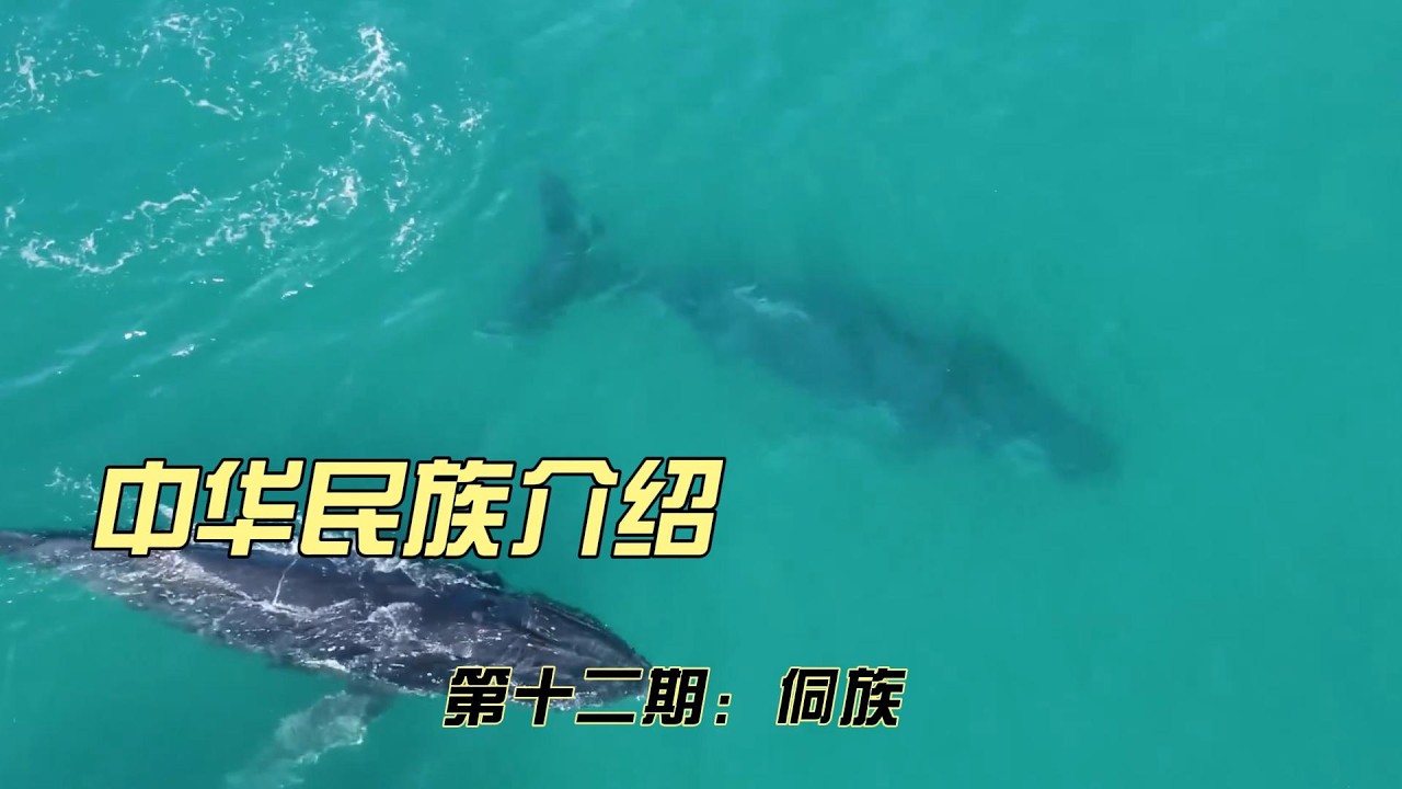 中华民族介绍-侗族