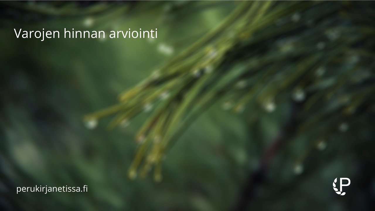 perukirjanetissa.fi - Varojen hinnan arviointi