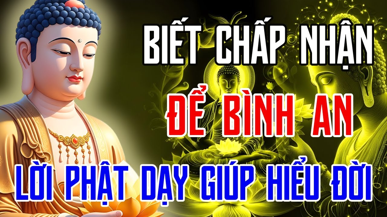 Lời Phật Dạy Trước Khi Ngủ Giúp Hiểu Đời, Buông Phiền Não, Thân Tâm An Lạc