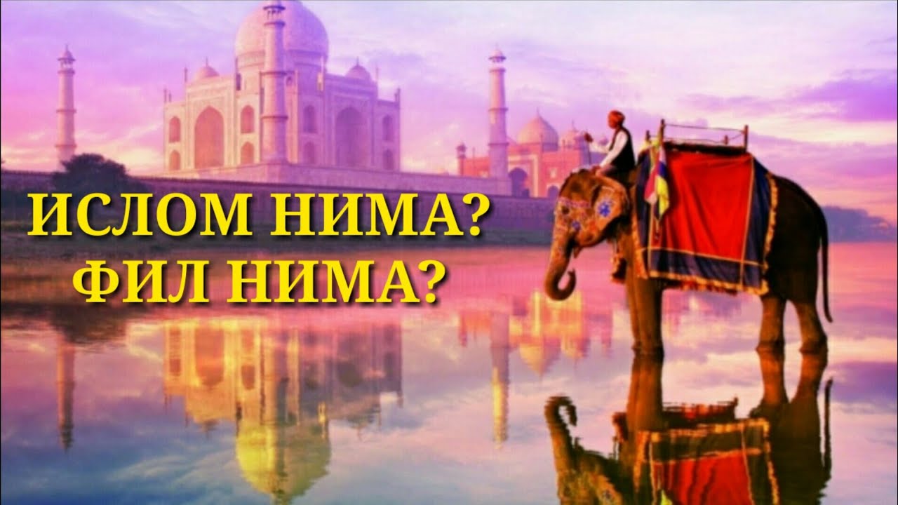 #4 Ислом нима? | Islom nima? Шайх Абдували қори Раҳимахуллох.