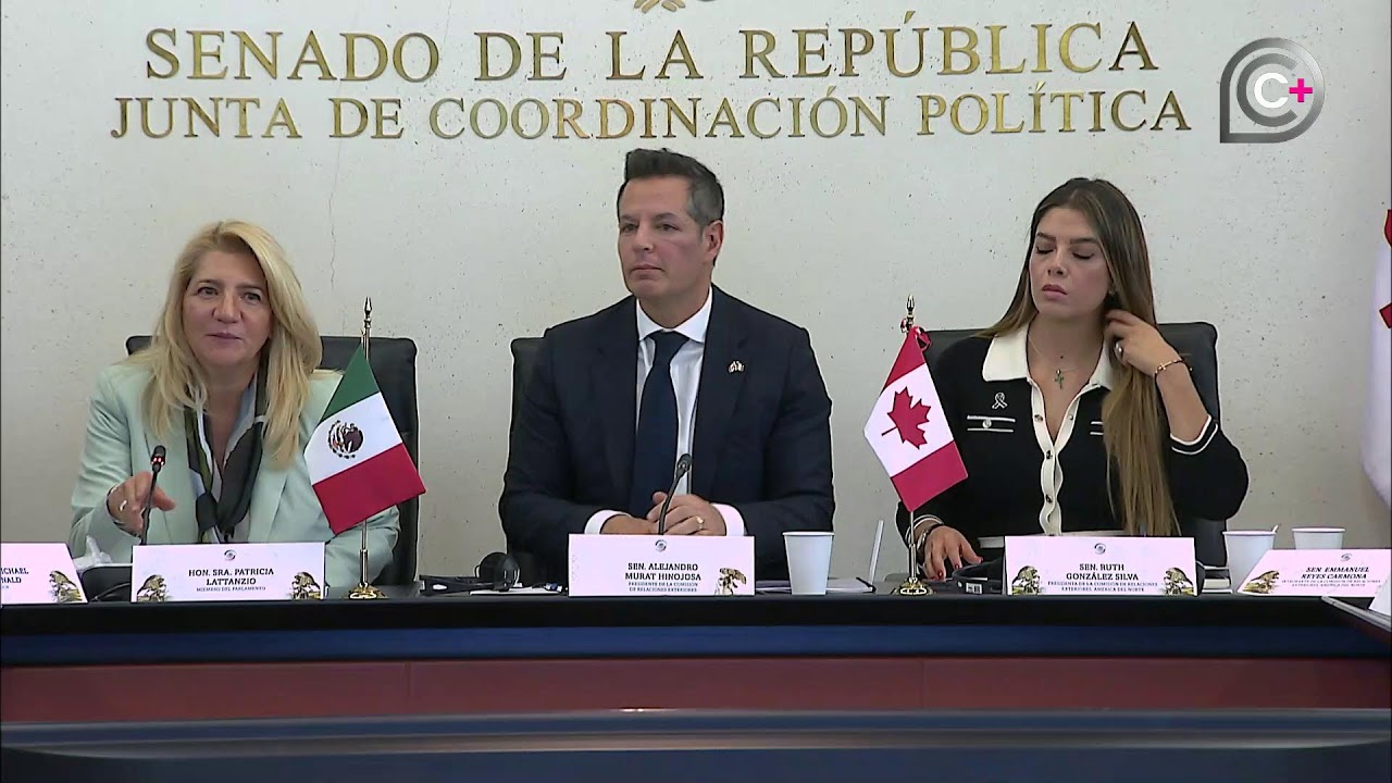 Reunión de las comisiones de Relaciones Exteriores y de Relaciones Exteriores América del Norte