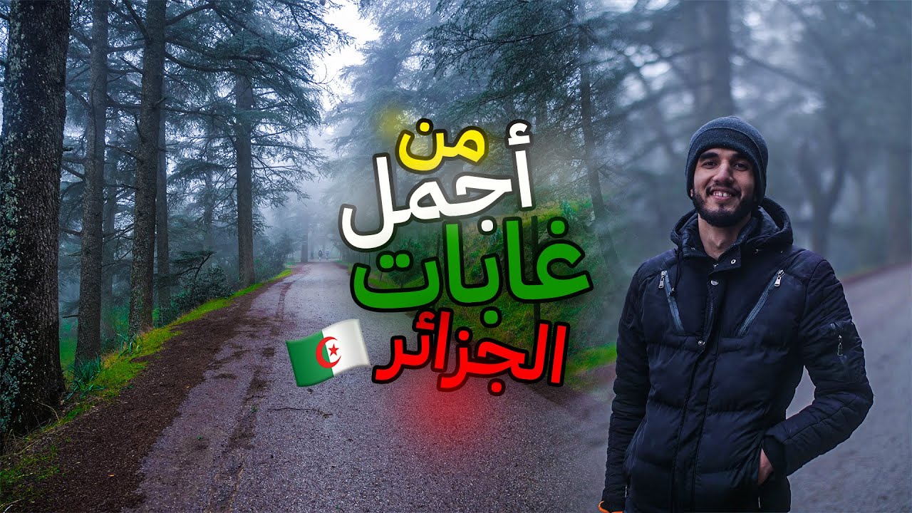 يوم في الحضيرة الوطنية ثنية الحد - Theniet El Had National Park 🏔️🌳