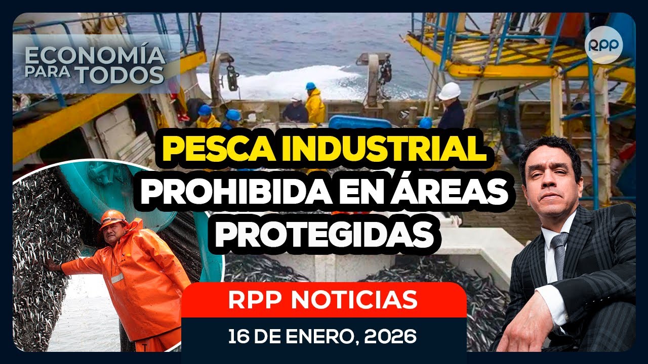 🎣 Pesca industrial fuera de áreas protegidas: impacto económico y ambiental 