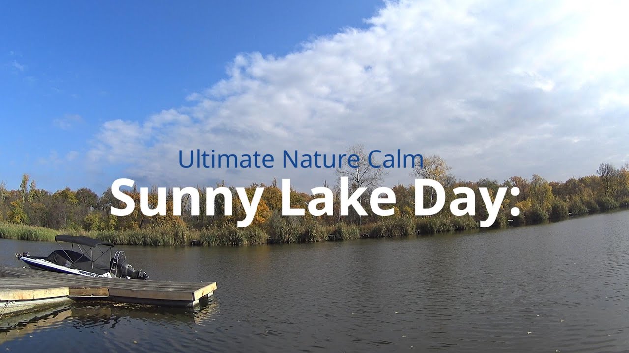 Sunny Lake Day Ultimate Nature Calm