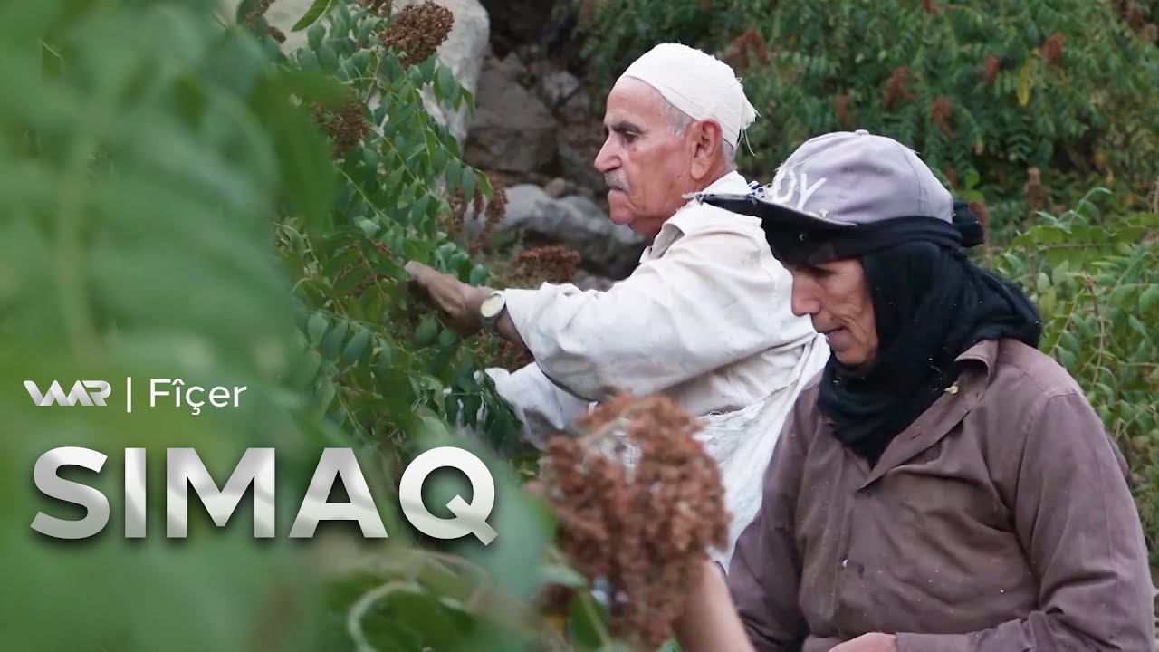 Fîçer - Simaq | فیچەر - سماق