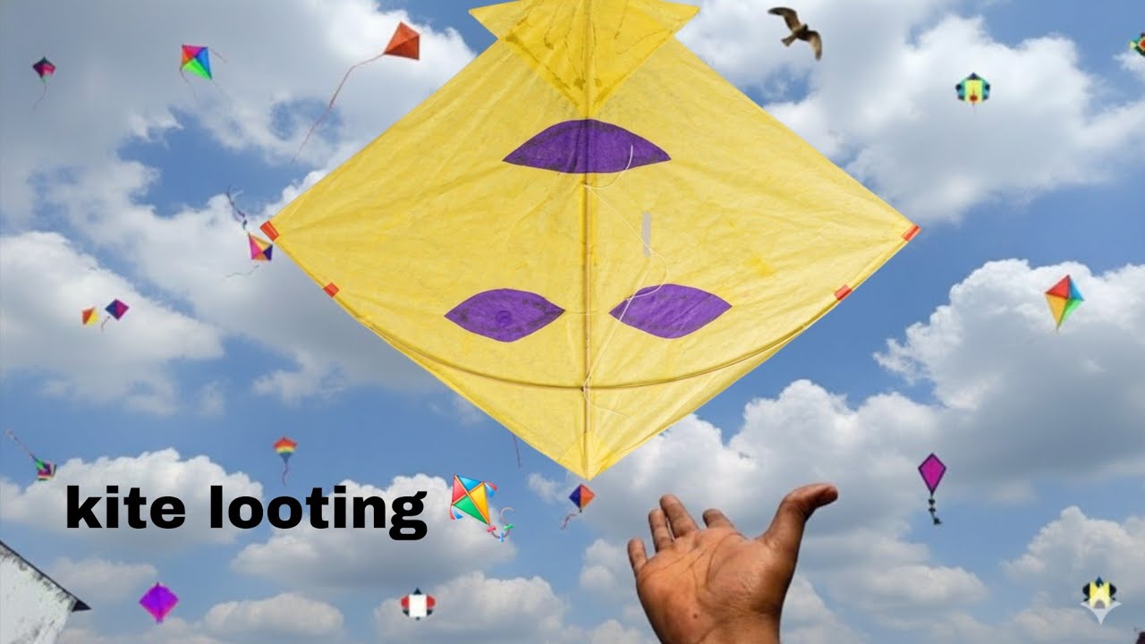 kite looting 🪁￼ | kite video | kite looting |kite flying video |ATRANGI BOYS |