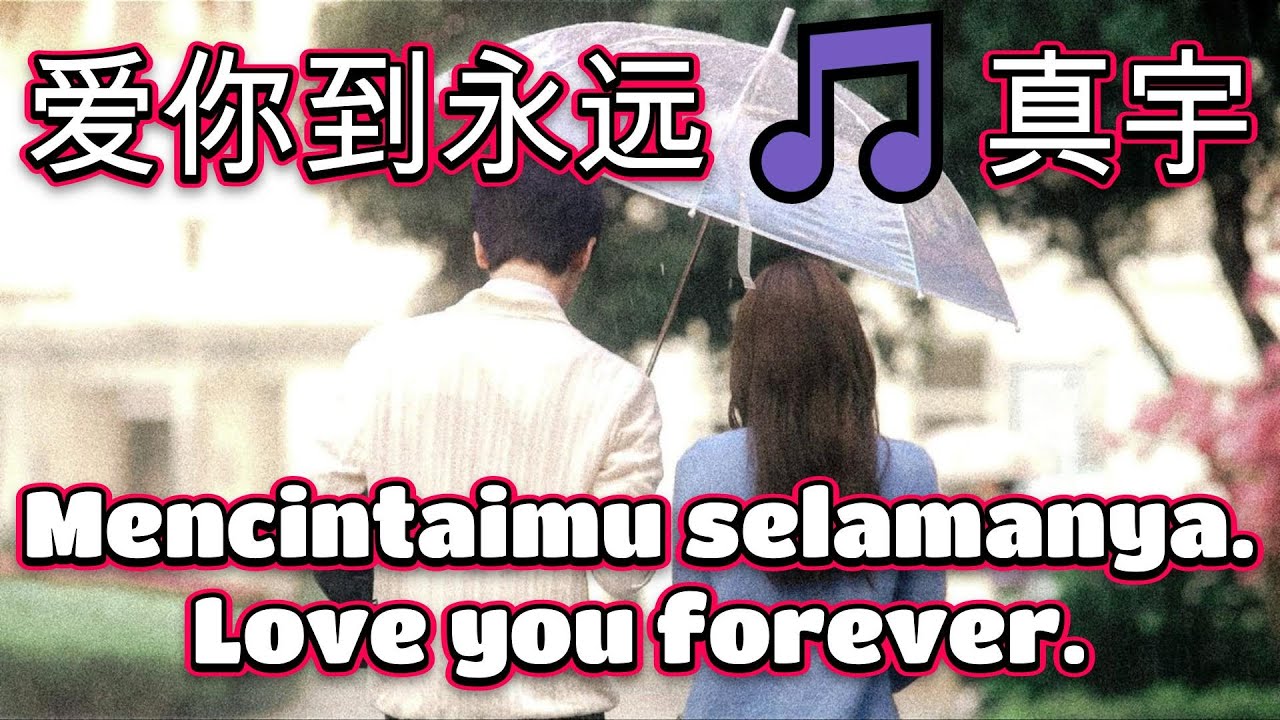 爱你到永远 🎵 真宇🎵那些爱与心痛的回忆🎵Ai ni dao yong yuan 🎵 zhen yu