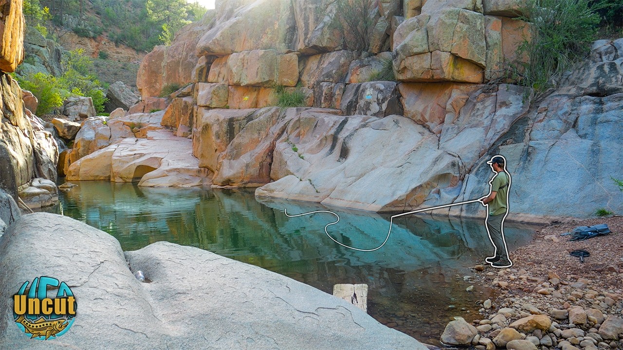 Рыбалка нахлыстом в пустыне &ndash; это прекрасно (рыбалка на форель в Аризоне)