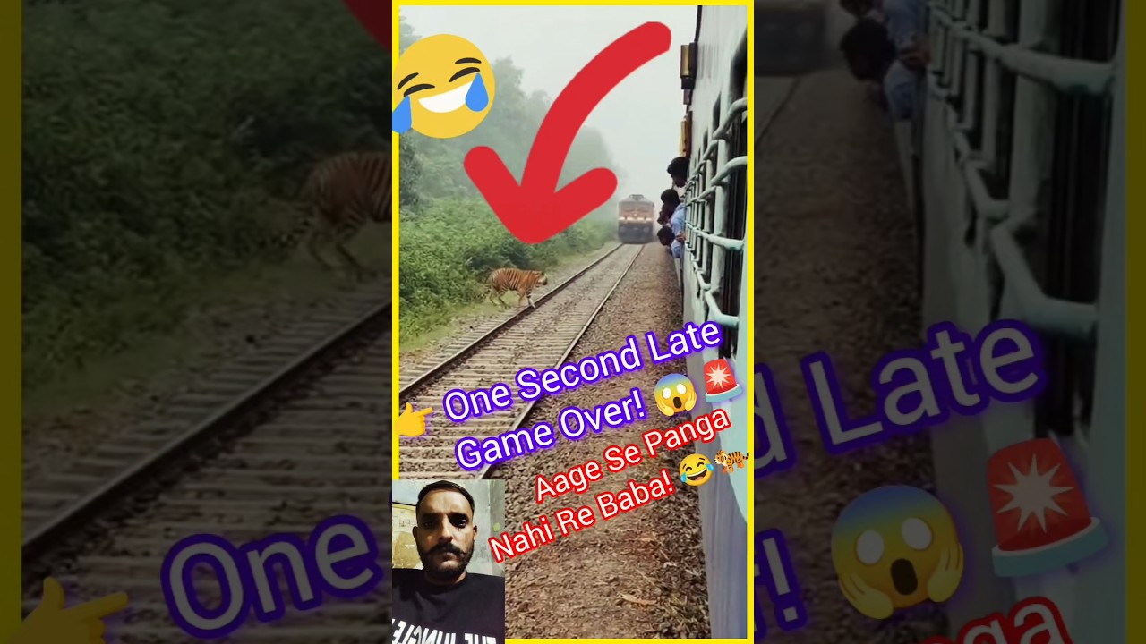 Train Saved Boys from Tiger Attack! 😱🚆😂🐅 #TigerAttack #TrainSavedBoys #ViralShorts #shorts #viral