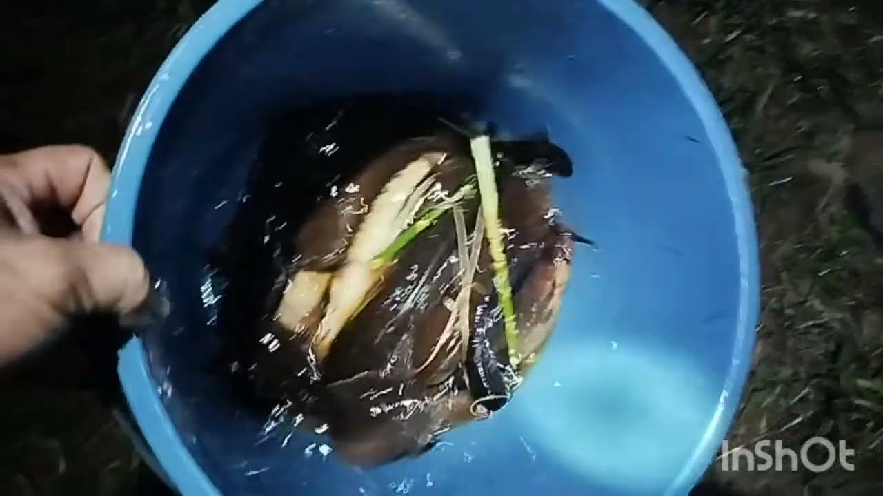 Memang terbaik hasil memancing tetap ada.