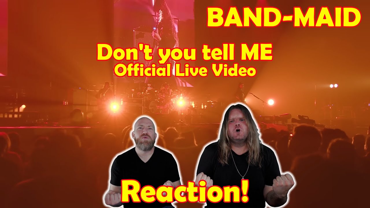 Musicians react to hearing BAND-MAID / Don't you tell ME (Official Live Video)!!