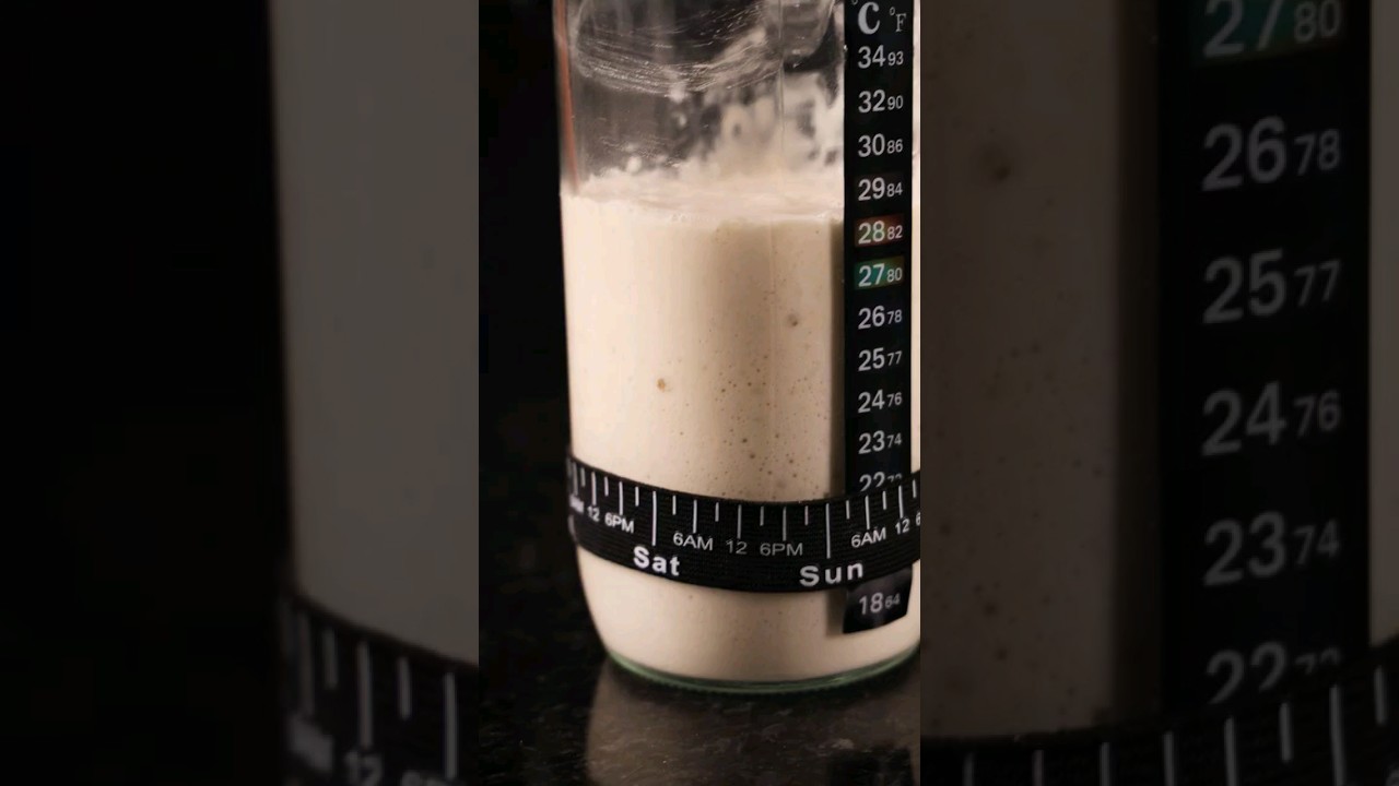 Massa m&atilde;e #sourdough #sourdoughstarter #massamadre #massamae #receitas #p&atilde;o