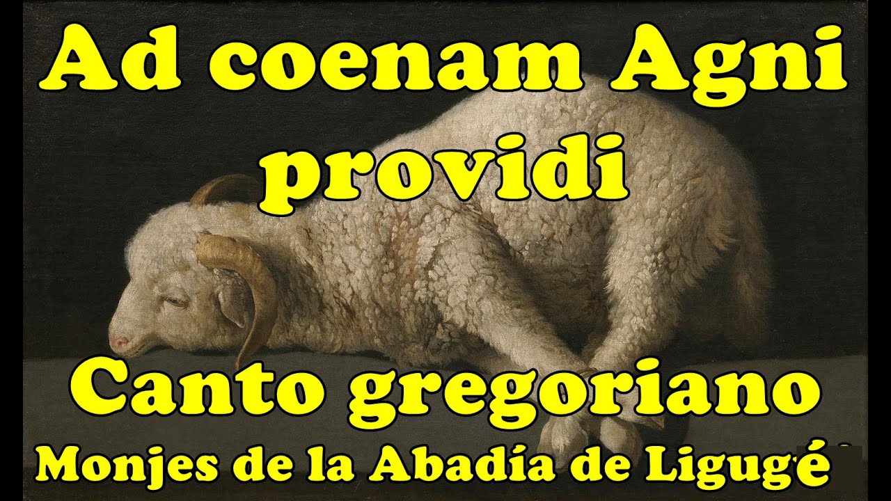 Ad coenam Agni providi - Canto Gregoriano // Coro de monjes de la Abadía de San Martín de Ligugé