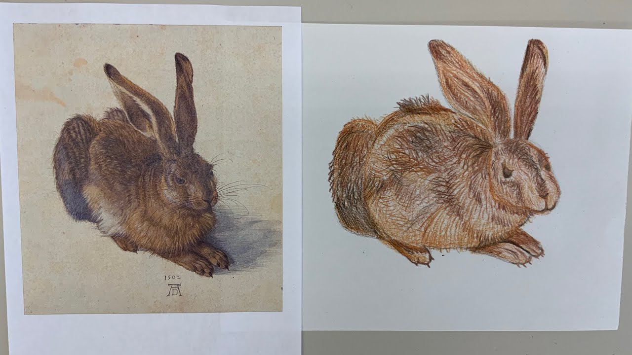 Young Hare Drawing Practice 3rd-5th (Mar 29th-April 2nd)