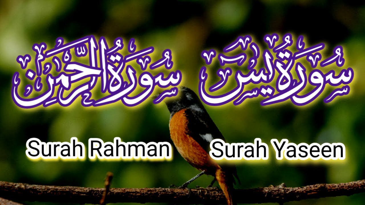 Surah Yaseen ❤️ Surah Rahman ❤️| Very Emotional Voice |سورۃ یٰس ،سورۃ رحمٰن تلاوت| Quran Tilawat |