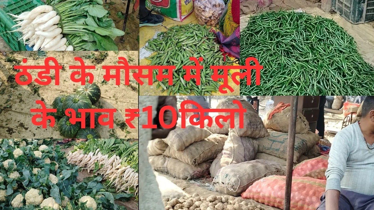 ठंडी के मौसम में सब्जियों के भाव गिरने लगे मूली के भाव में भारी गिरावट ₹10 किलो