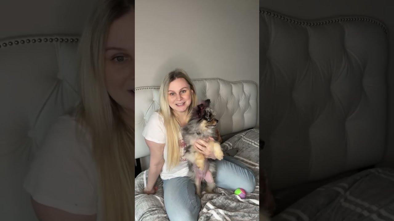 Special Live Event- meet the new puppy!🐶