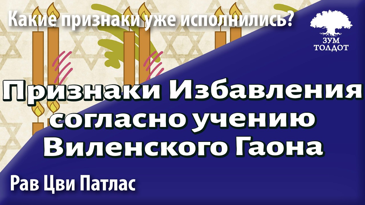 Zoom-уроки Толдот.ру