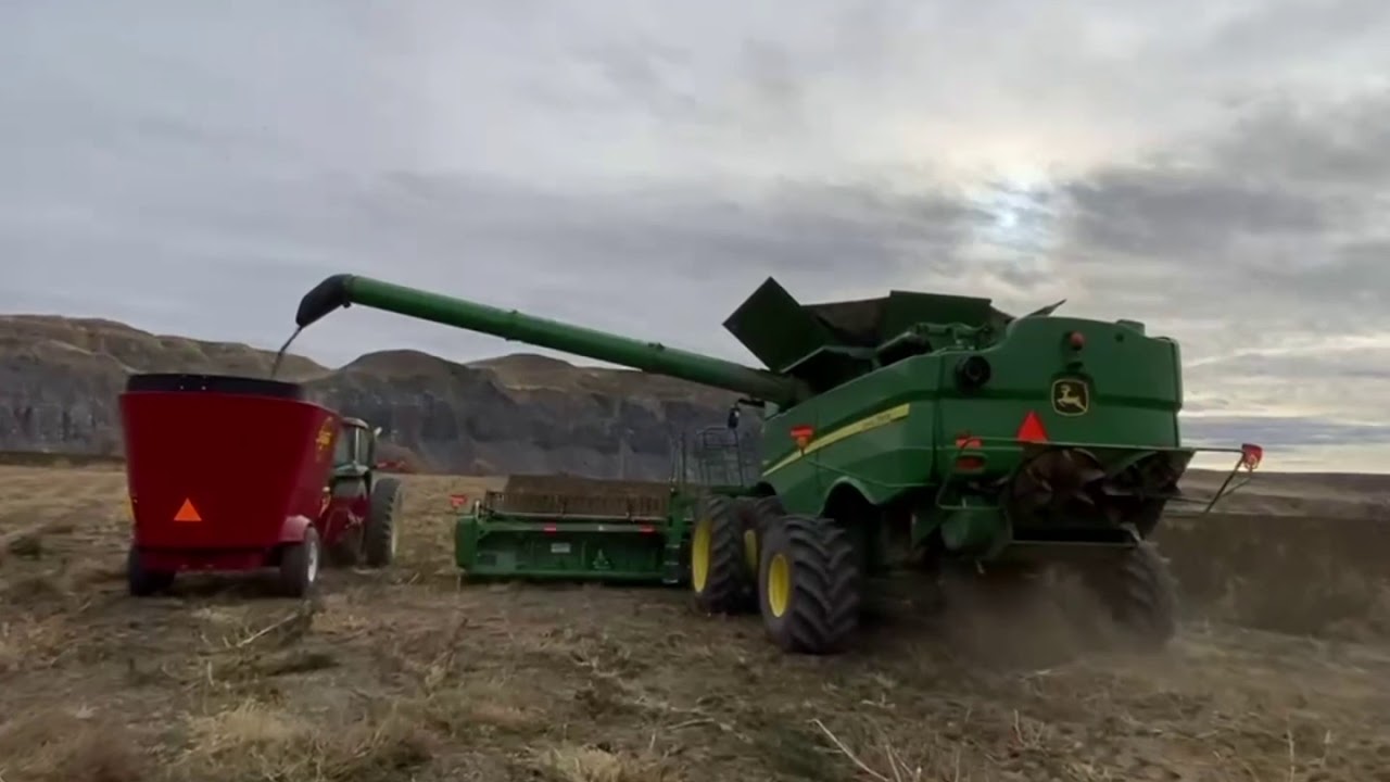 MFDG Hemp Harvest 2020