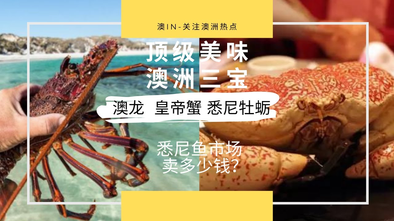 圣诞逛吃悉尼鱼市场！海鲜马拉松澳洲龙虾价格多少？Sydney fish market 36-hour seafood marathon