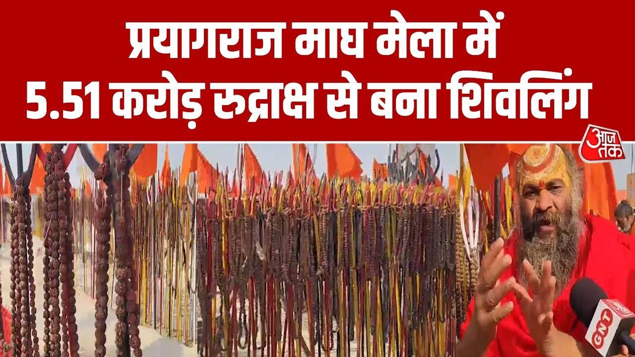 Magh Mela 2026: Prayagraj  माघ मेला में आए Rudraksh Wale Baba वायरल, देखिए ग्राउंड रिपोर्ट | Aaj Tak