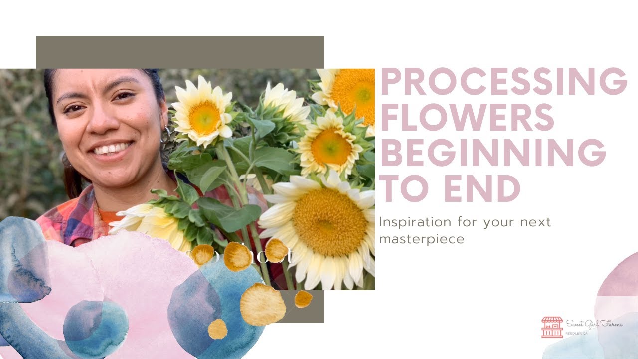 Flower Processing (Harvesting and storing) on a small scale