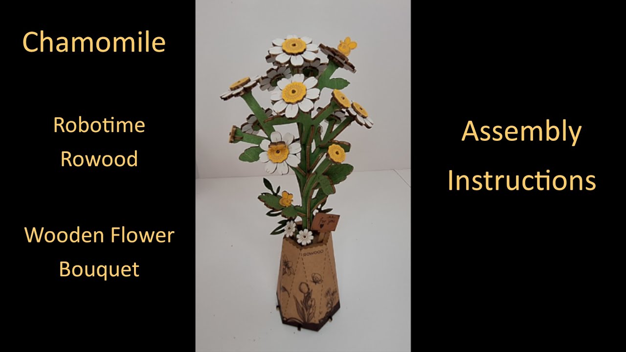 Flower - Chamomile from Rowood, Wooden Bloom Craft TW061