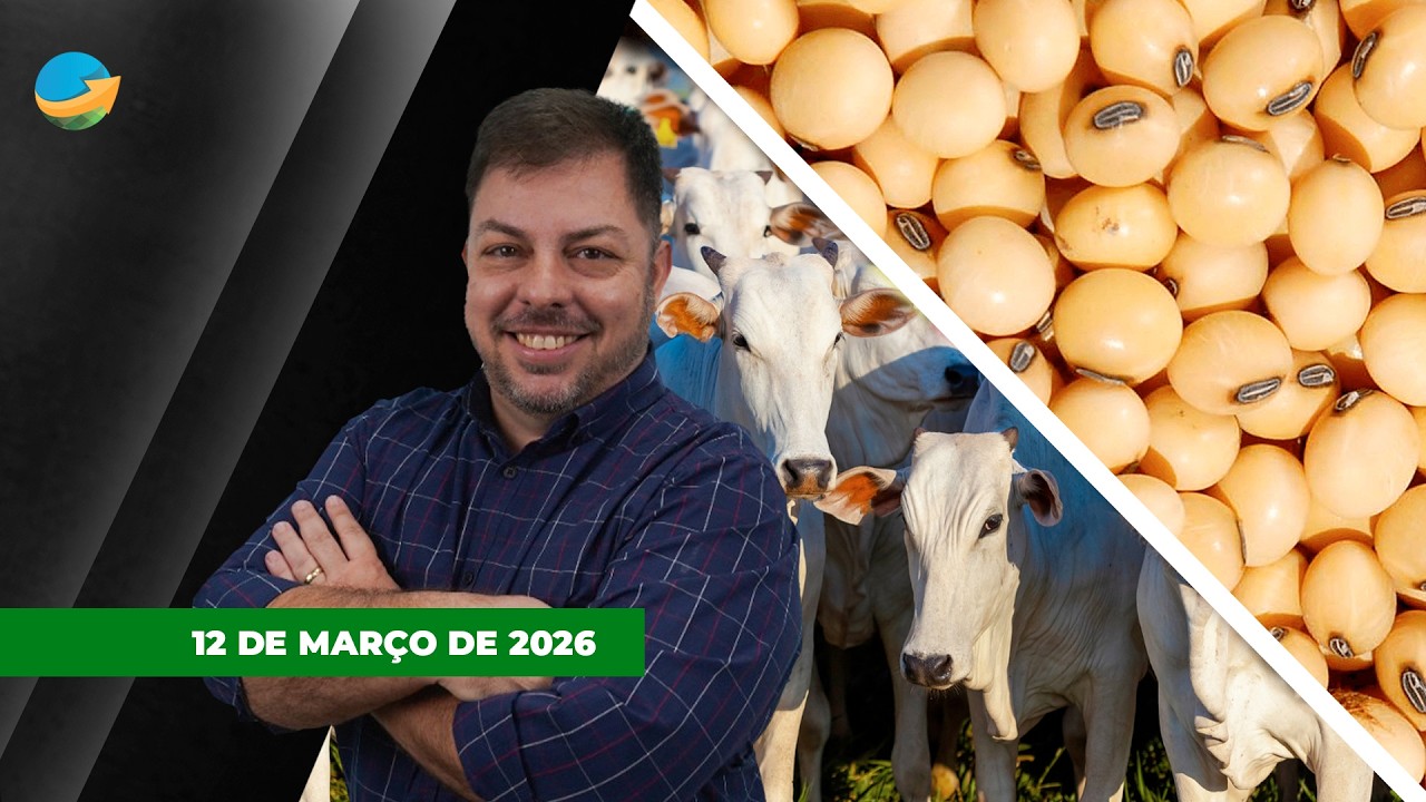 Soja acima dos US$12/bushel , dólar em alta e produtor brasileiro fora dos ganhos; boi estável...