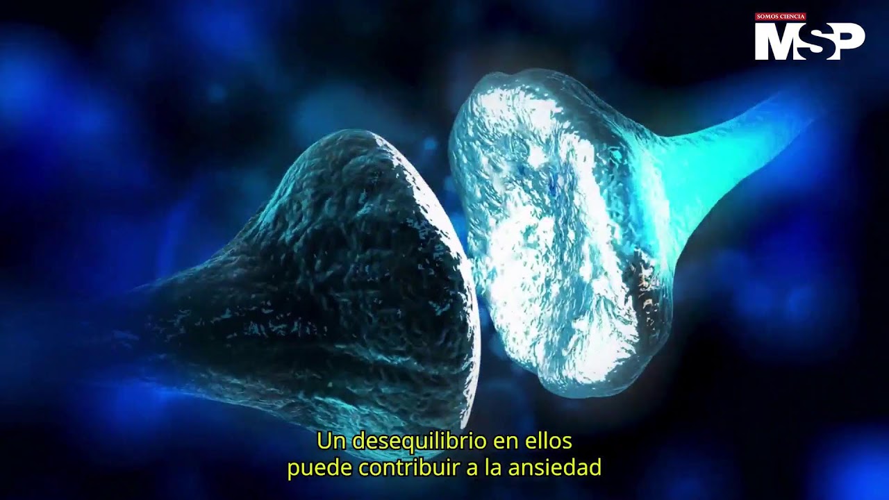 &iquest;Qu&eacute; ocurre en el cerebro cuando sientes ansiedad?