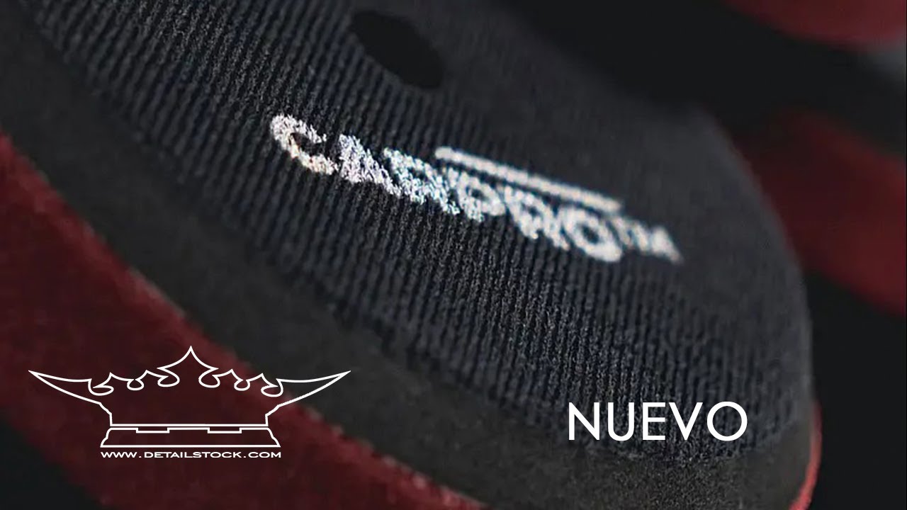 ¡Novedades de CARPRO, segundo semestre 2025!