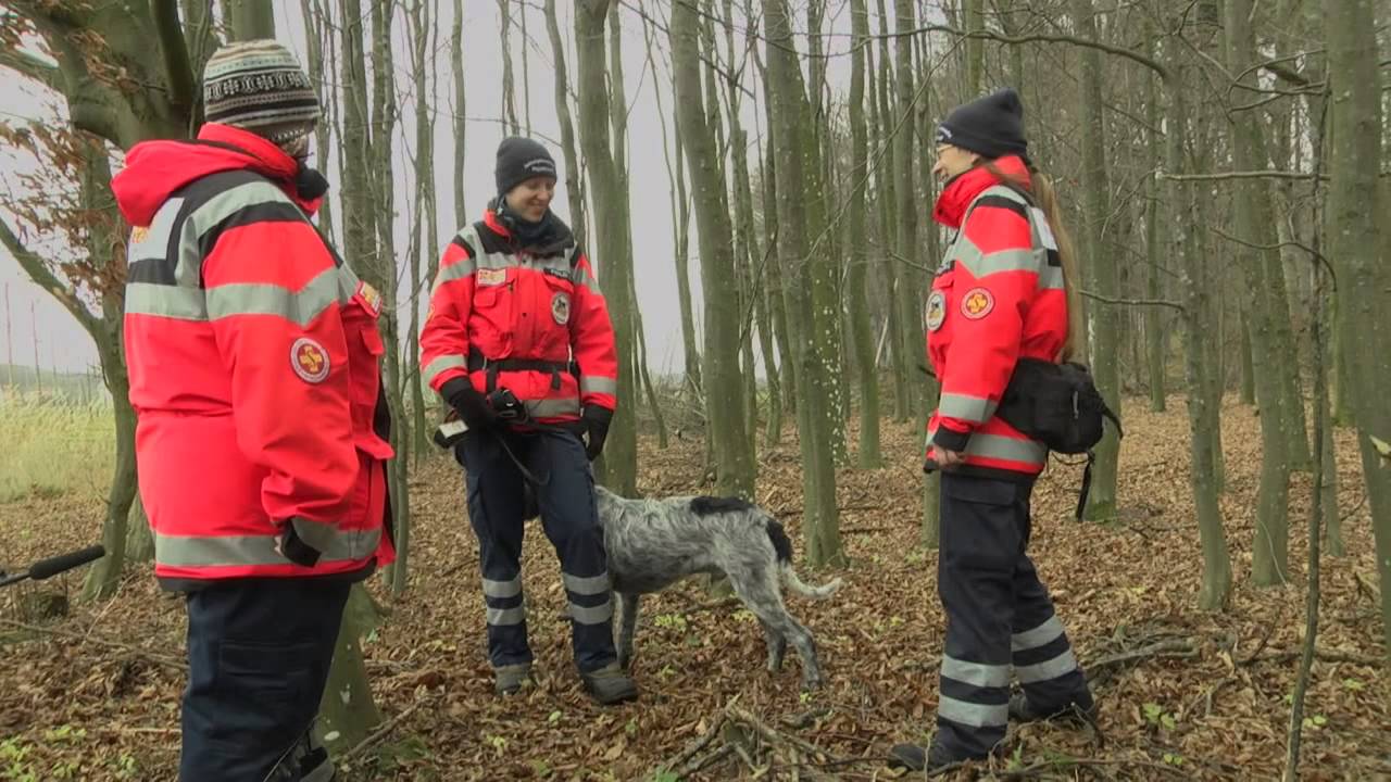 Helfer auf vier Pfoten: Rettungshunde im Einsatz