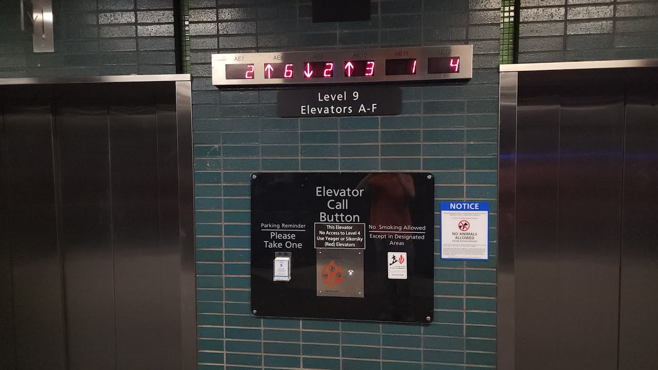 Modernization Complete! New Voices! Westinghouse/Schindler Main Terminal Elevators at Tampa Airport