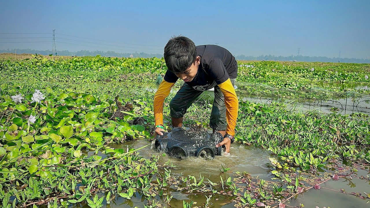 Amazing✅Village Fishing By Chinese Tools ~ Amazon Fishing Life