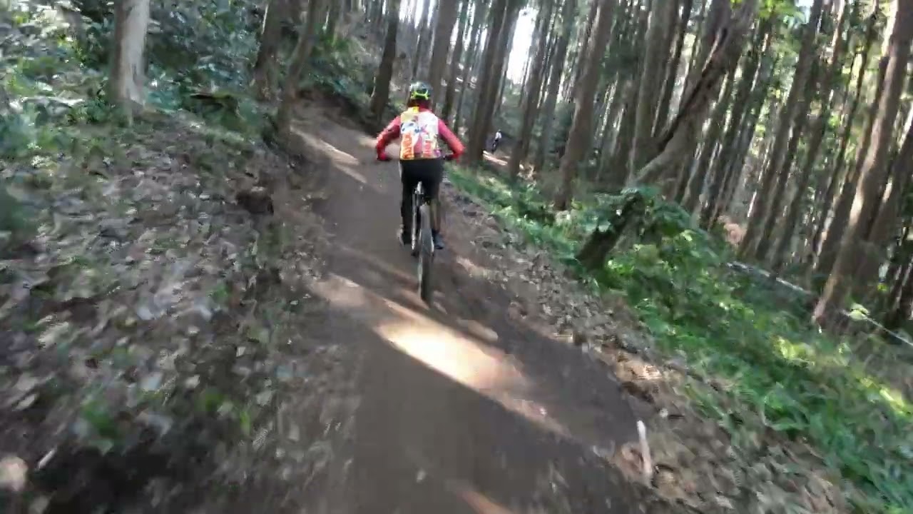フォレストバイク遊び