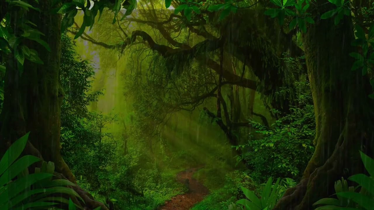 Som de Chuva na Floresta para Dormir Profundamente | Relaxing Rain Sounds for Deep SleepVídeo