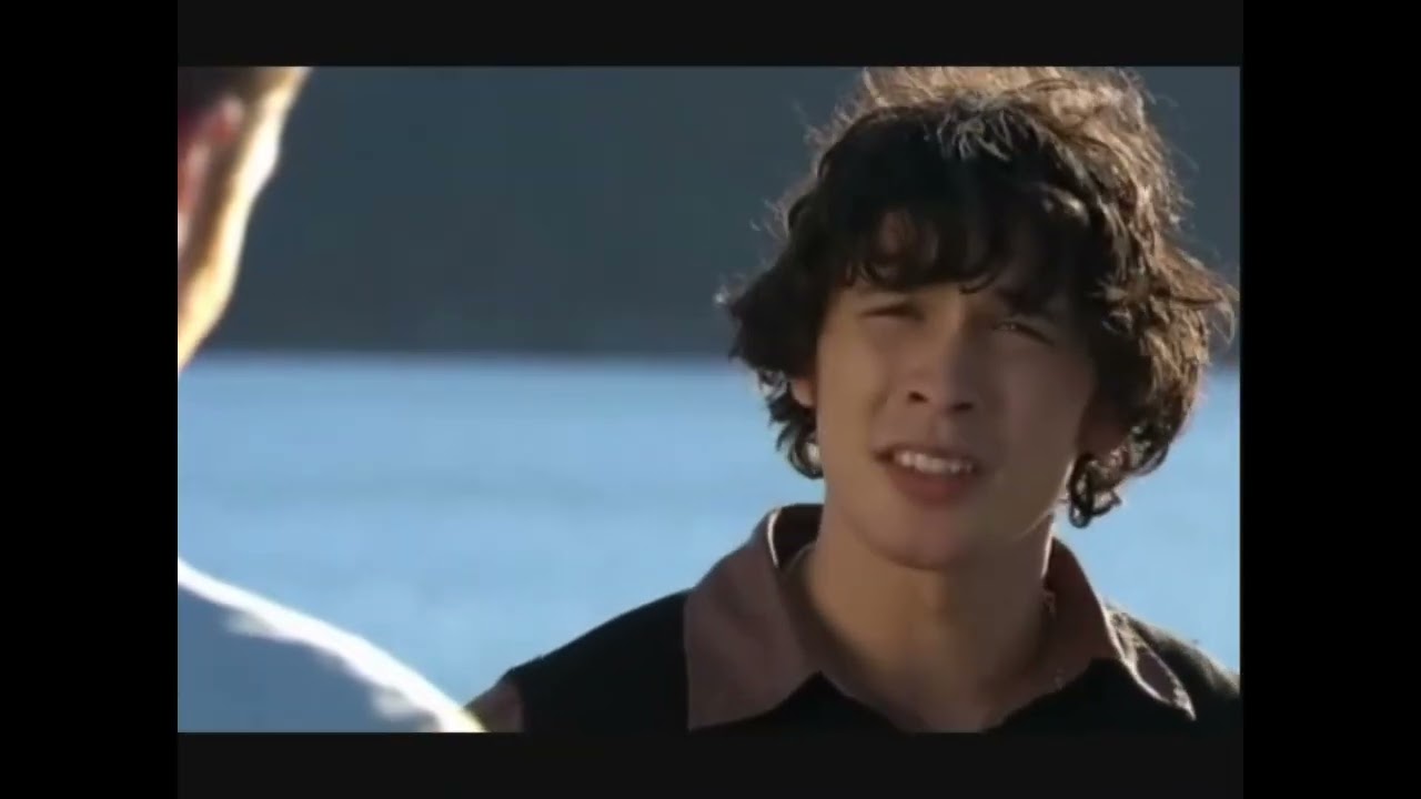 Home and Away - Drew punches Dan