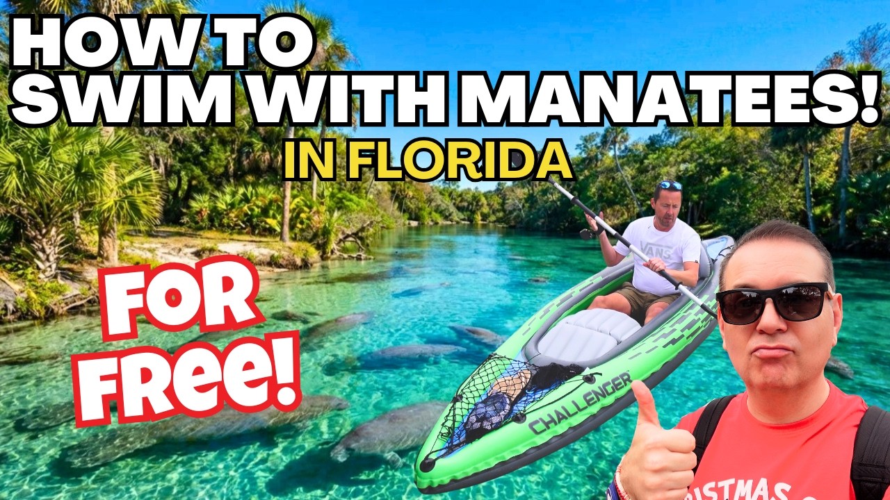 How to Swim with Manatees for FREE | Crystal River Florida | Animal Kingdom | Disney World Vlog