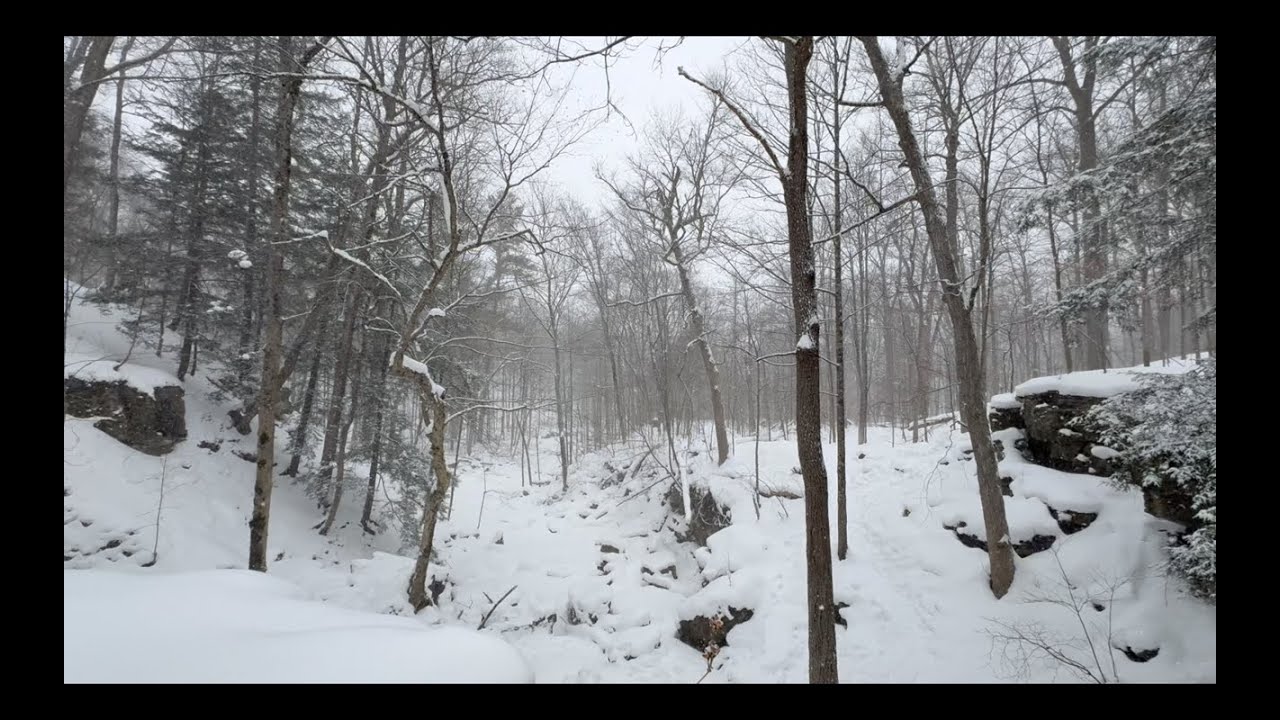 Beautiful Snowfall & Flowing Water – 4k Relaxing ASMR Scene | Canada