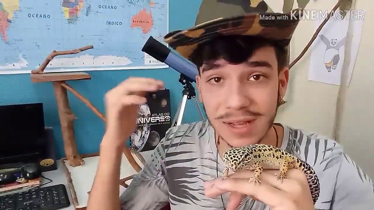 Como criar um GECKO LEOPARD / VIDA ANIMAL