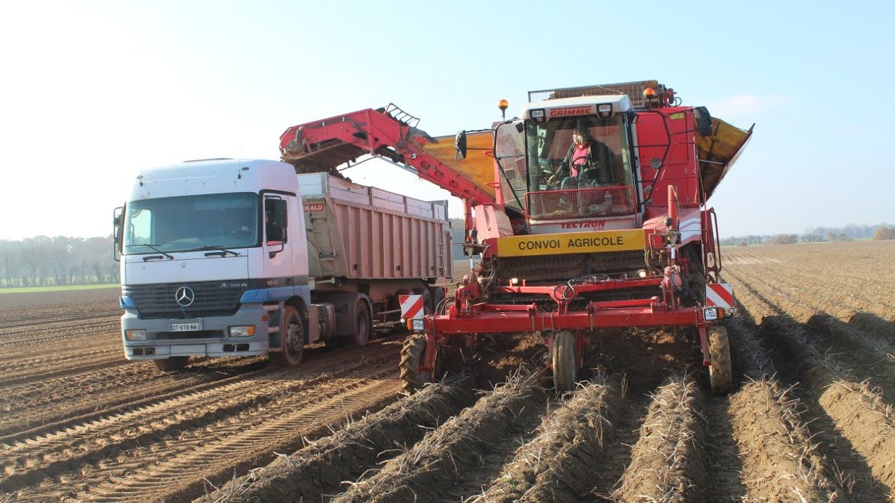 Arrachage de pomme de terre XXL |GRIMME TECTRON 415 | FENDT 939 |