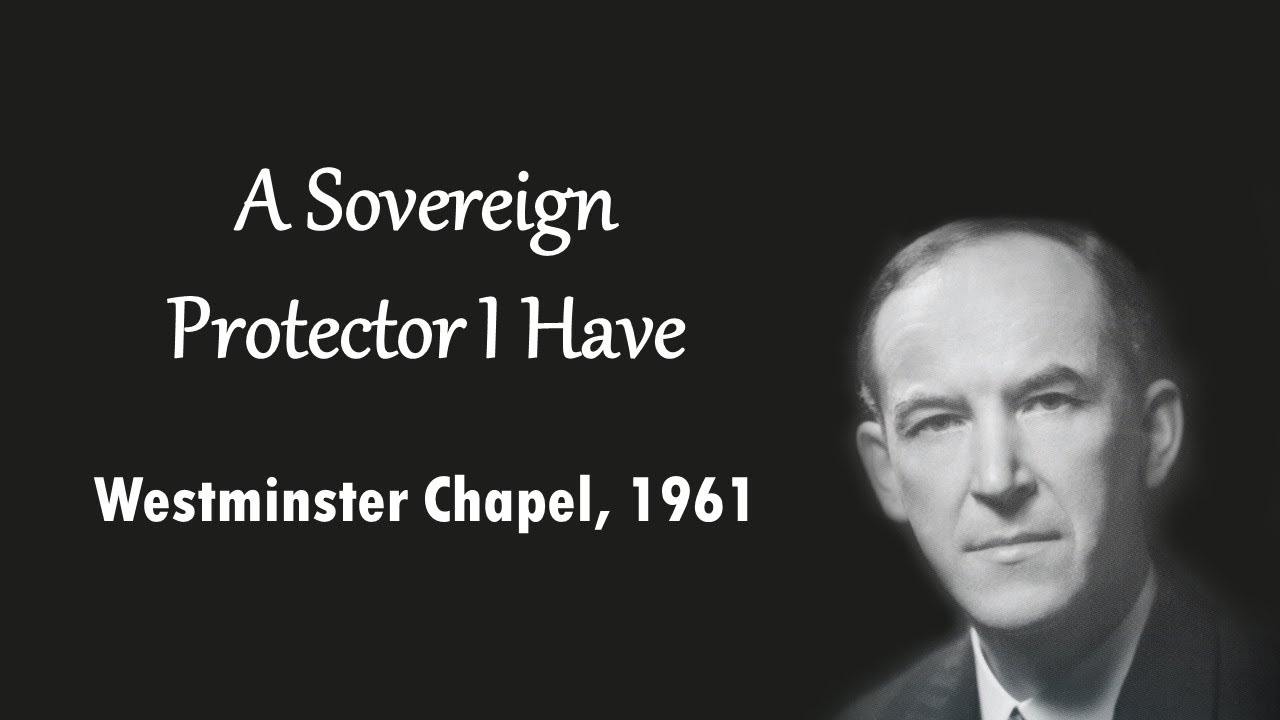 A Sovereign Protector I Have