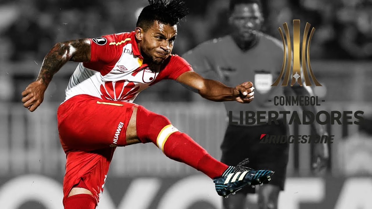 Wilson Morelo ● 16 Goles En Competiciones conmebol ●2015/18