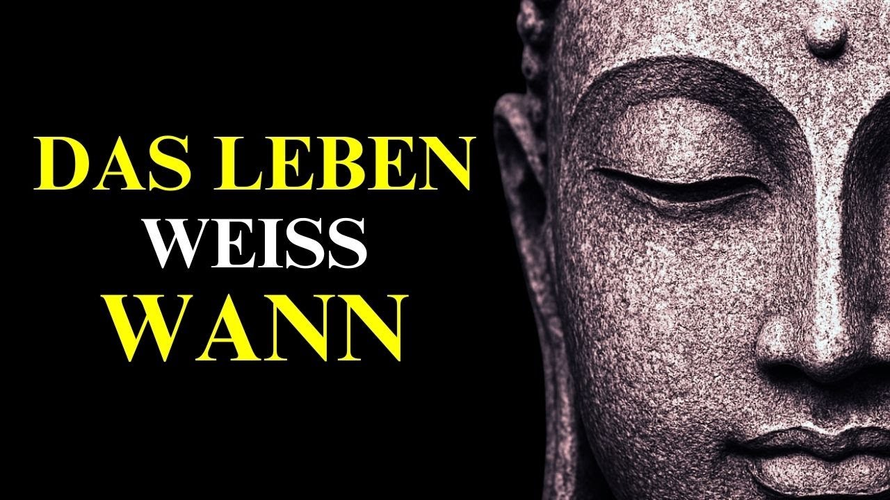 (KEINE WERBUNG) “Du Findest Frieden, Wenn Du Das Bedürfnis Nach Kontrolle Loslässt.” | Buddhistische
