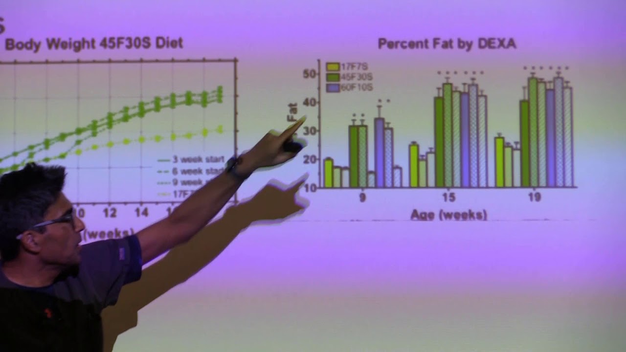 A deep dive in to insulin resistance and personal fat threshold part 2