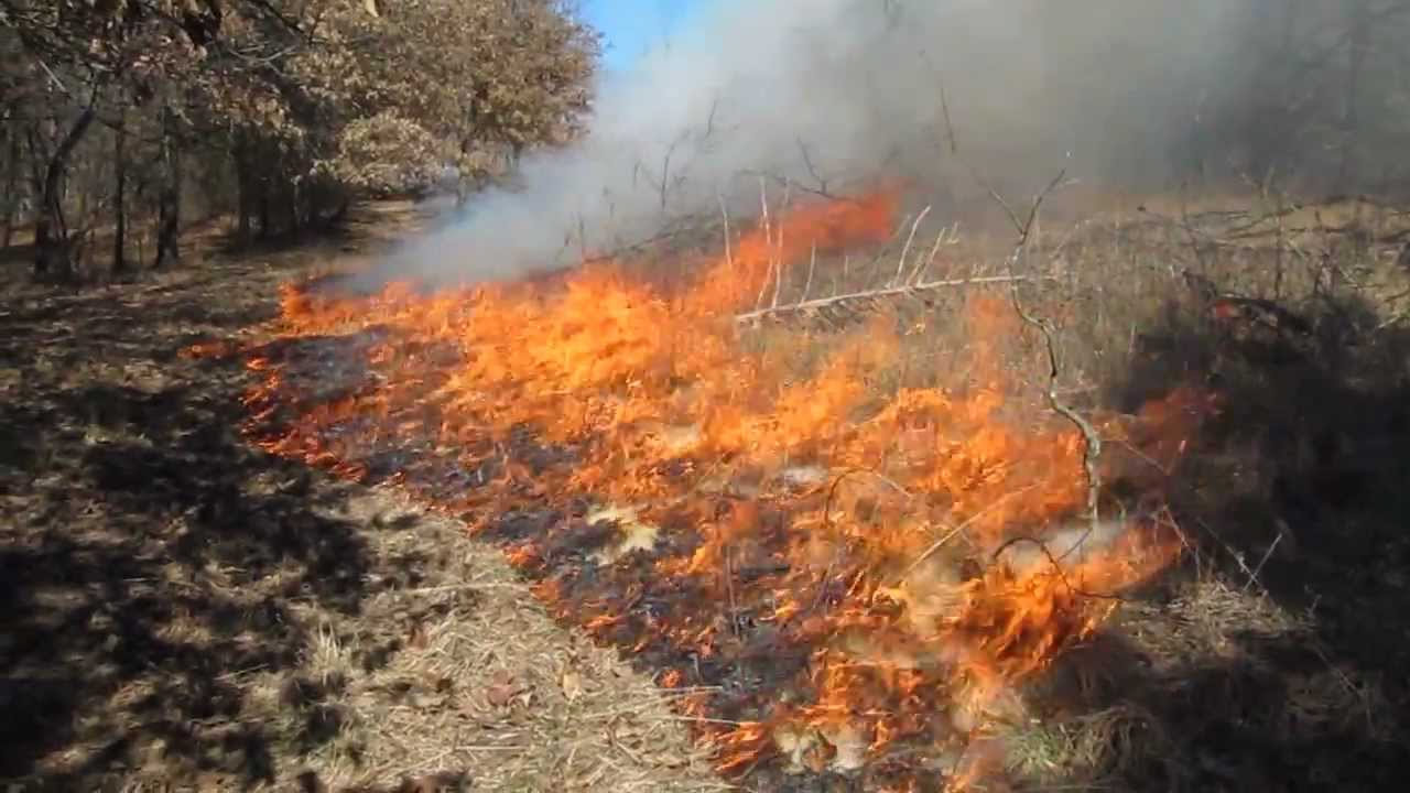 Prescribed Burn